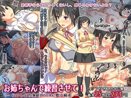 ぱすとG （Past Gadget）❤お姉ちゃんで練習させて！ ― ないしょの家庭内SEXに耽る姉弟 ―【羞恥】羞恥