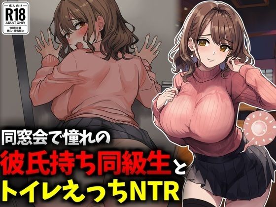 豊乳斎射爆❤同窓会で憧れのマドンナ的同級生とトイレえっちNTR【イラスト・CG集】イラスト・CG集