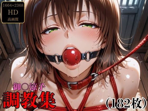 調教奉行❤御〇涼子 調教集【拘束】拘束