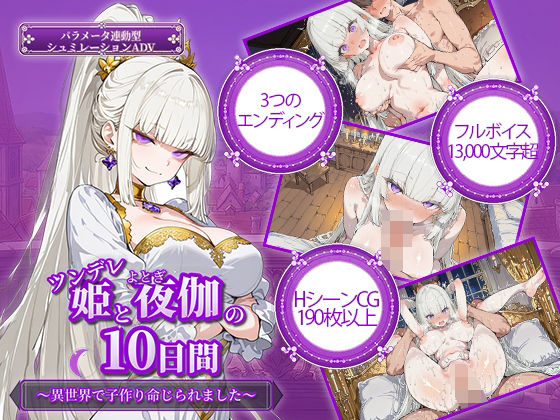 電脳ヒロインズ❤ツンデレ姫と夜伽の10日間 〜異世界で子作り命じられました〜【ファンタジー】ファンタジー