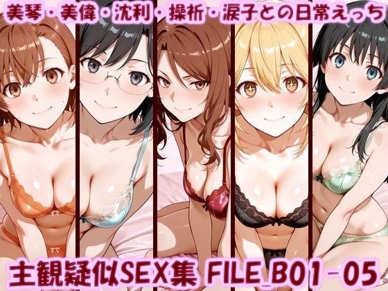美乳淫❤主観疑似SEX集 FILE_B01-05 美琴・美偉・沈利・操祈・涙子との日常えっち【イラスト・CG集】イラスト・CG集