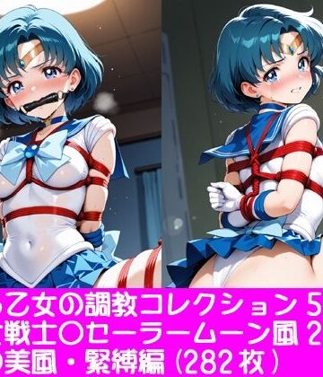 ぱてぃすりーず❤夢見る乙女の調教コレクション5〜美少女戦士〇ーラームーン風2・水野〇美風・緊縛編【イラスト・CG集】イラスト・CG集
