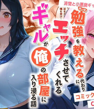夜の快楽❤勉強を教える代わりにエッチをさせてくれるギャルが俺の部屋に入り浸る話 〜清楚と小悪魔ギャルの純愛編〜【制服】制服
