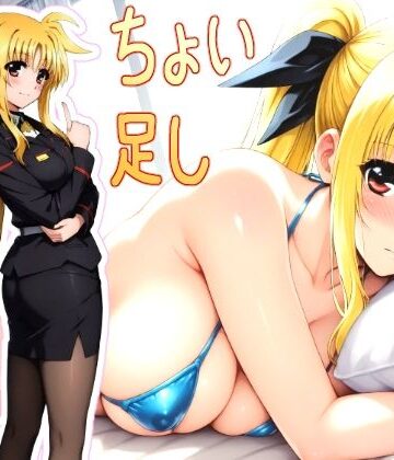 HONEY◎CARNIBar❤ハラオウン執務官 私性活記録 1 軽量版への追加版【イラスト・CG集】イラスト・CG集