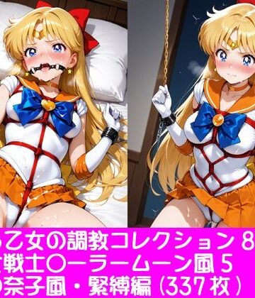ぱてぃすりーず❤夢見る乙女の調教コレクション8〜美少女戦士〇ーラームーン風5・愛野〇奈子風・緊縛編【イラスト・CG集】イラスト・CG集