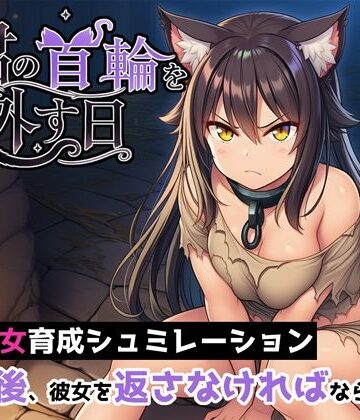 ヒヒイロカネ密売所❤君の首輪を外す日【ネコミミ・獣系】ネコミミ・獣系
